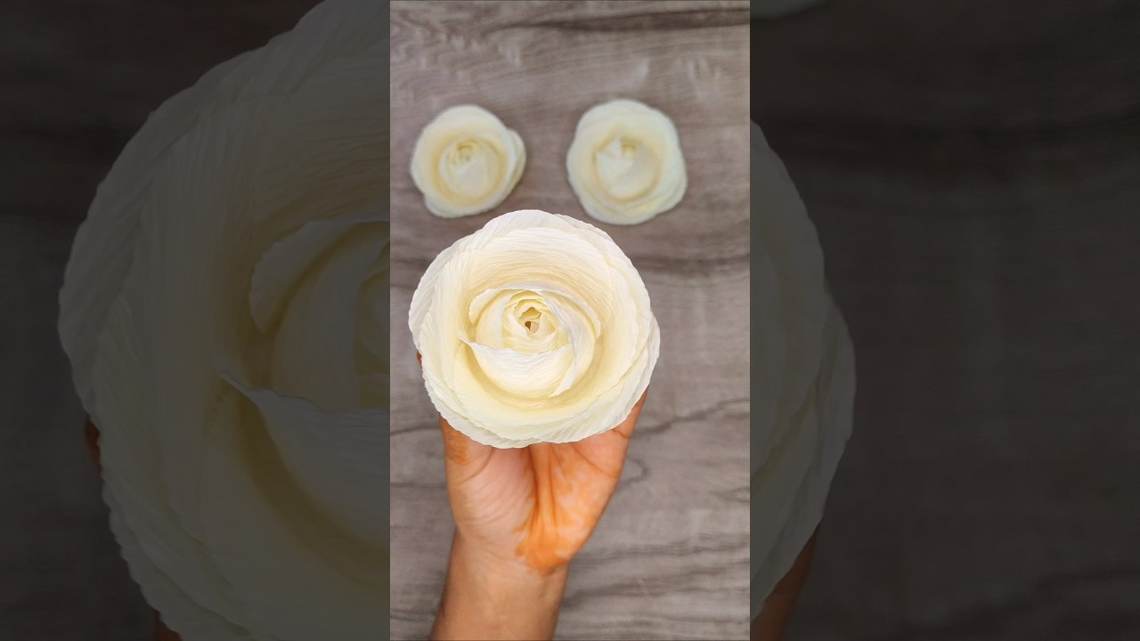 crepe paper Rose 🌹