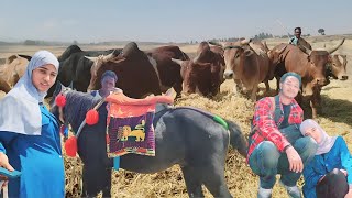 Baadiyaa jirra , harmee bira deemne