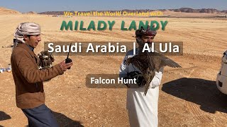 Saudi Arabia | Al Ula: Falcon Hunt