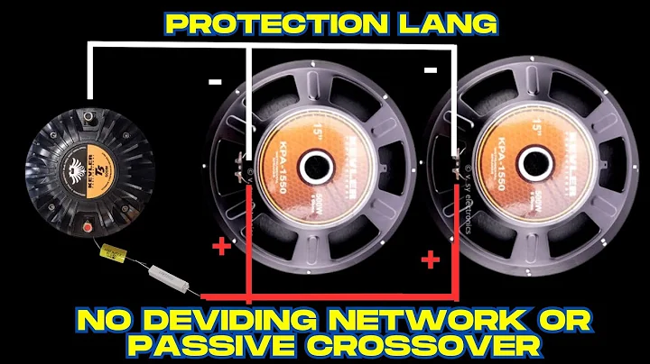 NO DEVIDING NETWORK OR PASSIVE CROSSOVER , SA SPEAKER AT TWEETER DRIVER