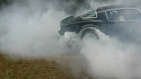 1979 Pontiac Trans Am burnout