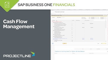 SAP Business One Cash Flow Management