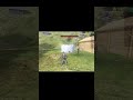 Trolling Noobs 🤣