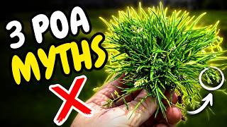 Stop Falling for These Poa Annua Myths