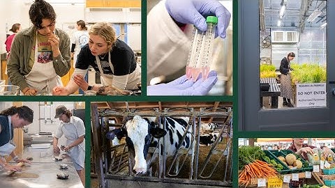 What is Food Systems Research?