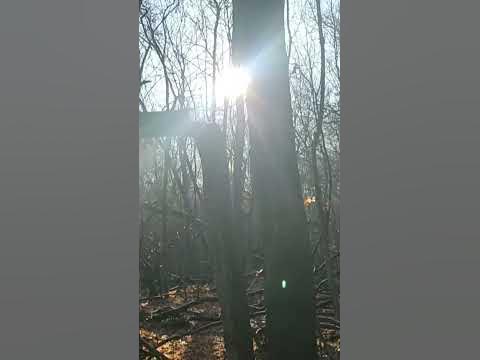 Погода в Чапаевске - YouTube