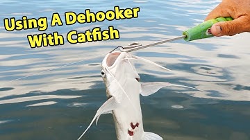 How To Unhook A Catfish With A Dehooker (Quick & Easy Way Without Getting Spined)