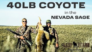 40 LB Coyote! Nevada Coyote Hunting | The Last Stand S6: E5