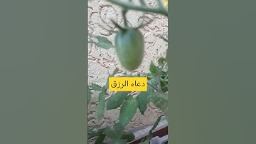 دعاء الرزق#اكسبلور #ترند #اذكار_المساء #تيك_توك #اذكار_الصباح #لايك#دعاء_الرزق #أذكارالنوم