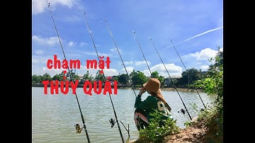 Cận cảnh cá chép khủng kéo cong cần lăng xê || Ky su cau ca dak nong phan 15