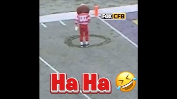 Brutus writes script Ohio then Crosses out M in end zone. #ohiostatefootball #football #shorts