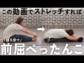 【1回5分】誰でも前屈がペタッと出来るようになる簡単ストレッチ