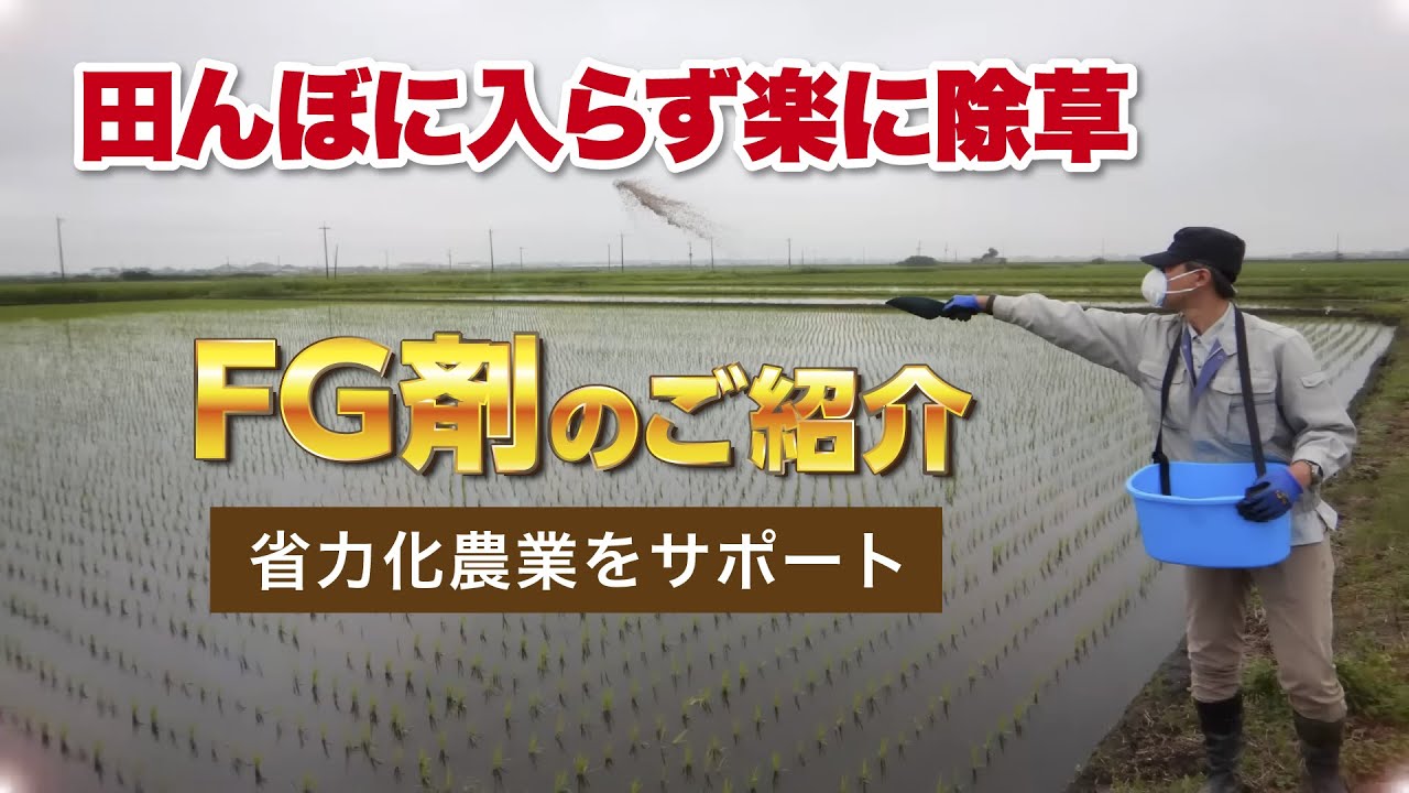FG剤のご紹介畦畔散布篇