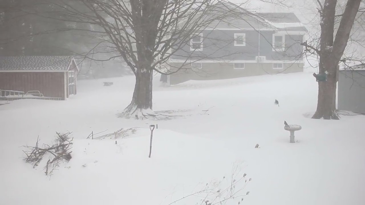 2022.01.29.10 - Central MA, USA snowstorm