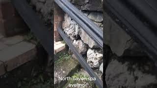 north haven spa avelino