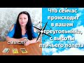 ЧТО СЕЙЧАС ПРОИСХОДИТ В ВАШЕМ ТРЕУГОЛЬНИКЕ. ЛЮБОВНЫЙ ТРЕУГОЛЬНИК. таро расклады, таро онлайн, таро.