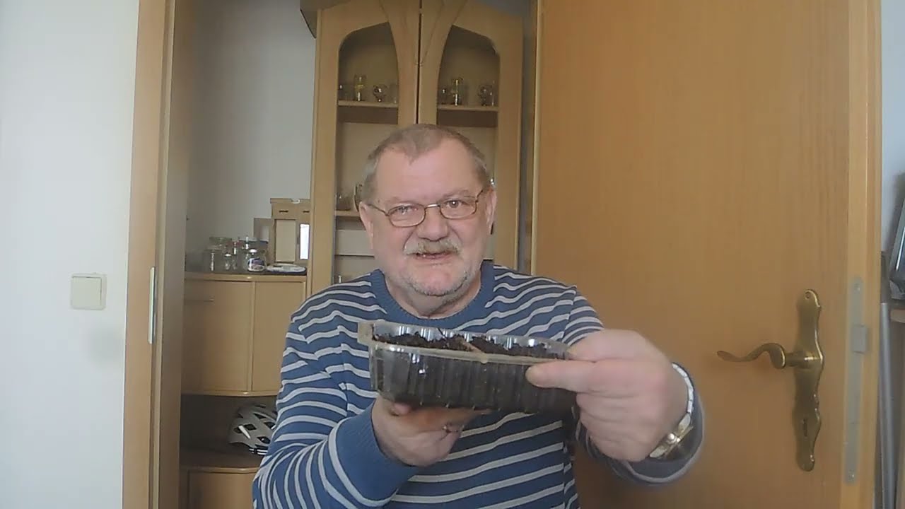 Aussaat von Knollen und Stangensellerie