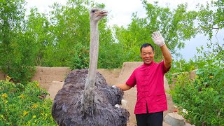 Bought a ostrich and bake it in kiln for half a dayUncle Rural Gourmet