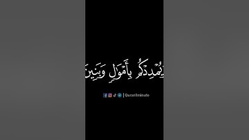 فَقُلْتُ اسْتَغْفِرُوا رَبَّكُمْ إِنَّهُ كَانَ غَفَّارًا - القارئ فارس عباد 🌱💚