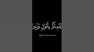 فَقُلْتُ اسْتَغْفِرُوا رَبَّكُمْ إِنَّهُ كَانَ غَفَّارًا - القارئ فارس عباد 🌱💚