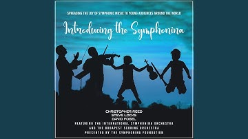 Locks: Symphonina No. 1, Movement 2