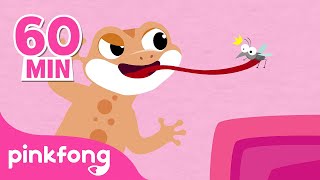 Cicak Cicak di Dinding 1 Jam | Lagu Anak | Pinkfong Baby Shark