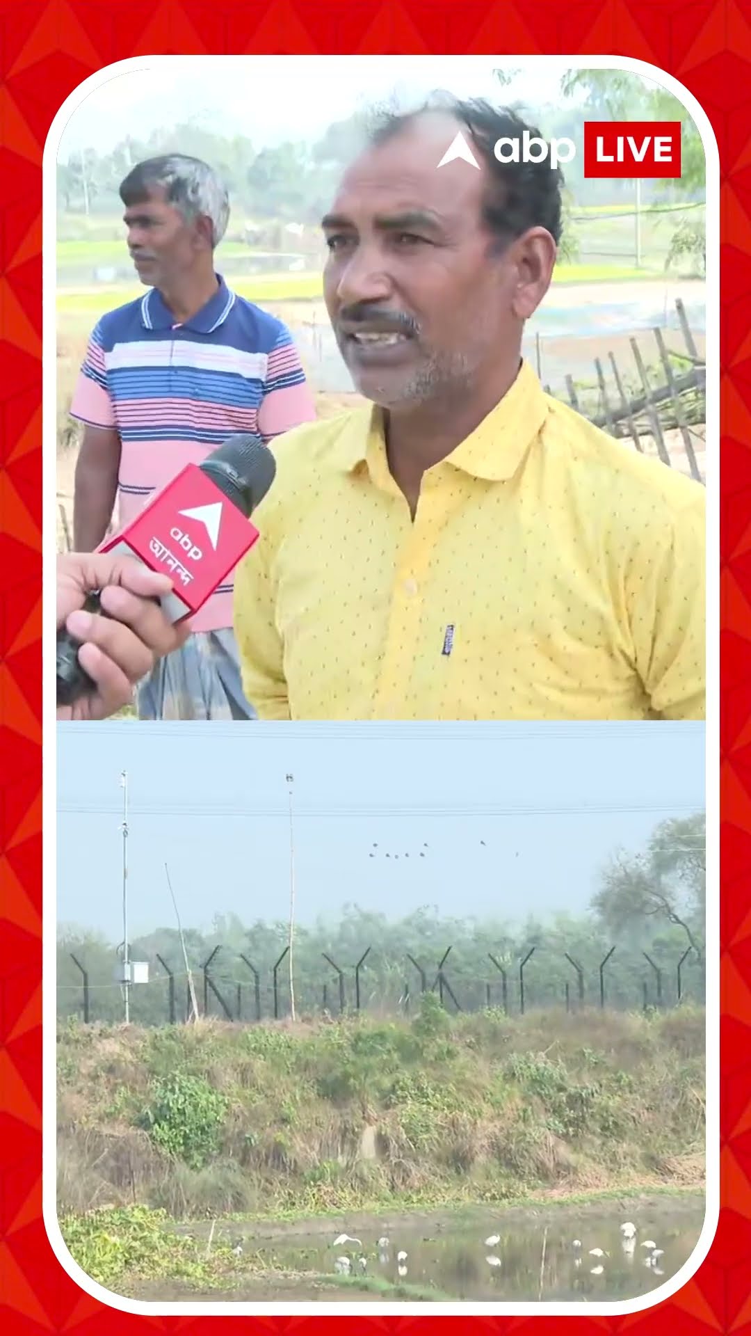 মালদার সুখদেবপুর সীমান্তে কাঁটাতার দেওয়া নিয়ে বিবাদের জের, চাষের জমি থেকে গম কেটে নেওয়ার অভিযোগ