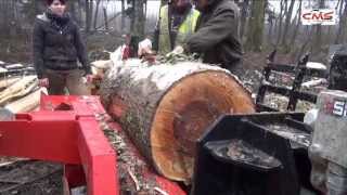 Fendeuse De Bûches Horizontale 35T Cms En Travail