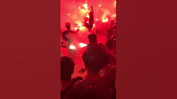 افراح المرج المرج ده مش دوله ده مجراه 