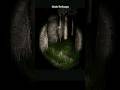 Do you remember SLENDERMAN??? #shorts #horrorgaming #creepypasta #scary