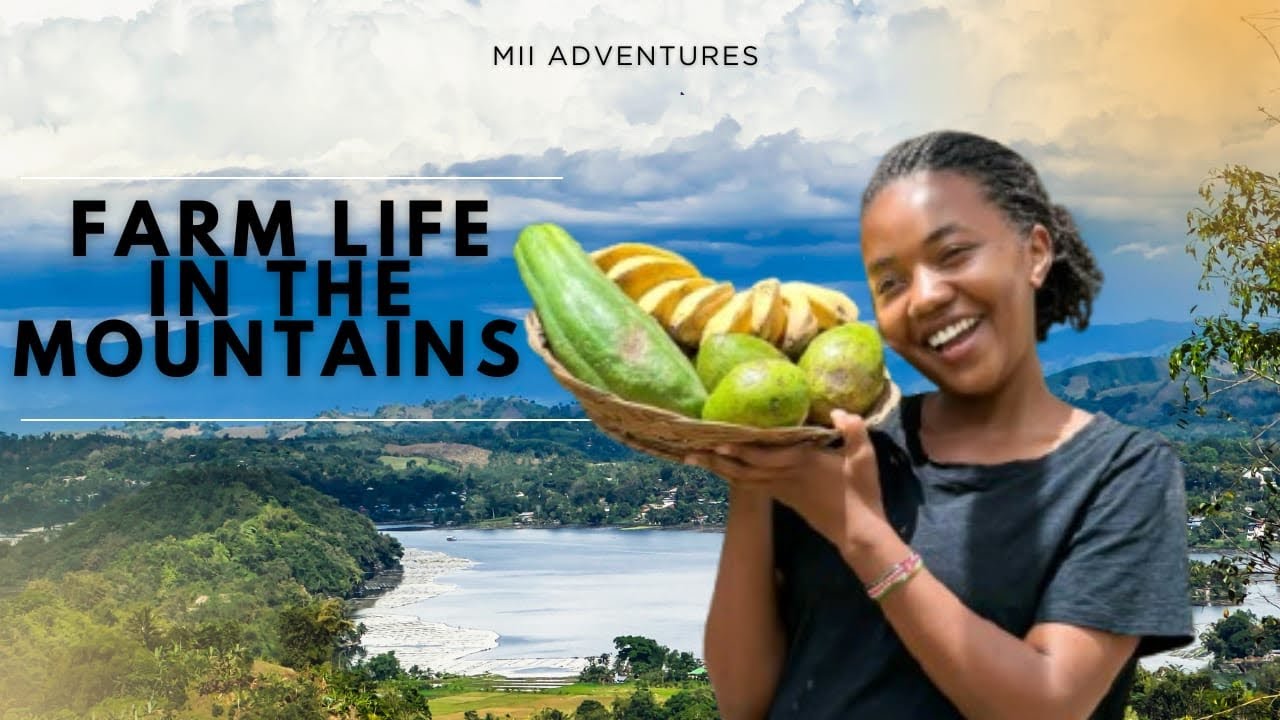 Farm Life In The Mountains Of Mindanao Philippines 