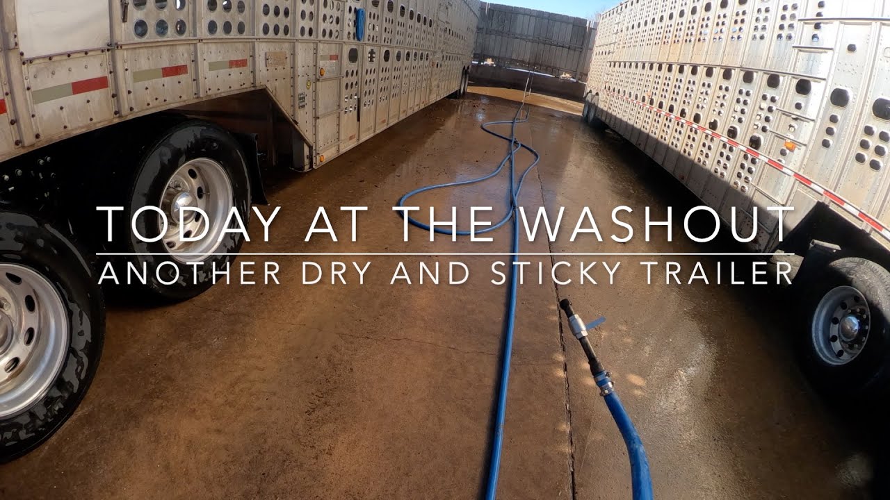 More stuck poo! (Cattle Washout ASMR Ep. 10)