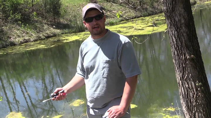 DIY Pond Aerator Using Septic Pump