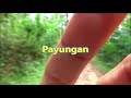 Beginning of video