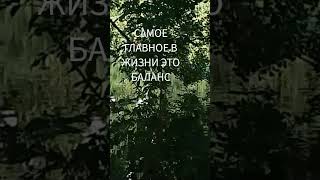 #Главноe в Жизни Это Баланс# Таро расклады Natalie #Shorts#