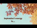 September Collective Message: Dare to Declare Then Chill | Intuitive Guidance