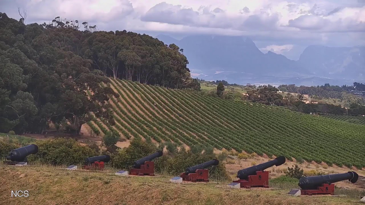 Jurg Zimmermann Live Stream