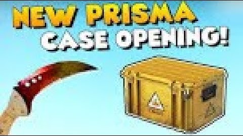CS GO *NEW* Prisma case opening!