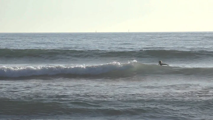 Fun Findings|Tyler Nash Surf