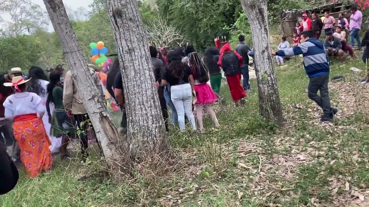 Carnaval 22 de feb. 2023 Emiliano Zapata Álamo ver.