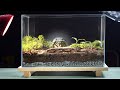 ETERNAL TERRARIUM — RENEWAL