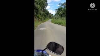 Lagu mandar jadul, Tambus Dami nauang allo - Irmayanti