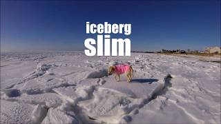 FROZEN cape cod -- walkin on icebergs