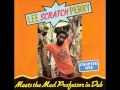 Lee perry  mad professor  the other side of midnight