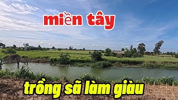 @ducmuc84   vùng  đất trồng sã nhiều nhất miền tây. Gò công tây tỉnh tiền giang cũ .