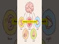Why Your Brain Fears Darkness | Survival Instincts Explained in 60 Seconds