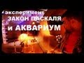 Галилео. Эксперимент. Закон Паскаля и аквариум