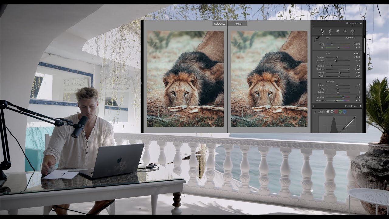 Lightroom Photo Editing Tutorial Wildlife Edit & Color Grading - YouTube