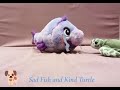 Sad Fish and Kind Turtle
