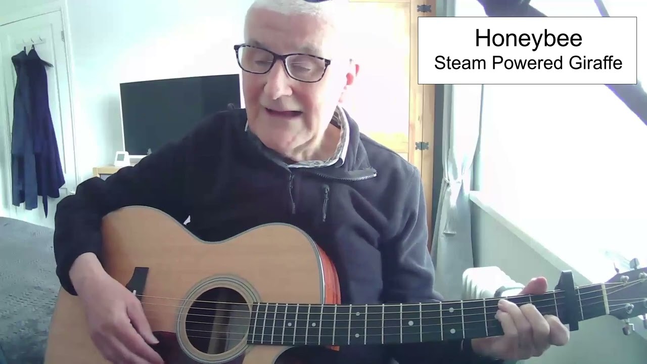 Honeybee - Steam Powered Giraffe (cover)